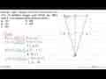 Segitiga ABC dengan titik A(-2,3), B(2,3), dan C(0,-4)