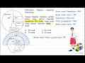 Perhatikan diagram lingkaran disamping sesuai diagram