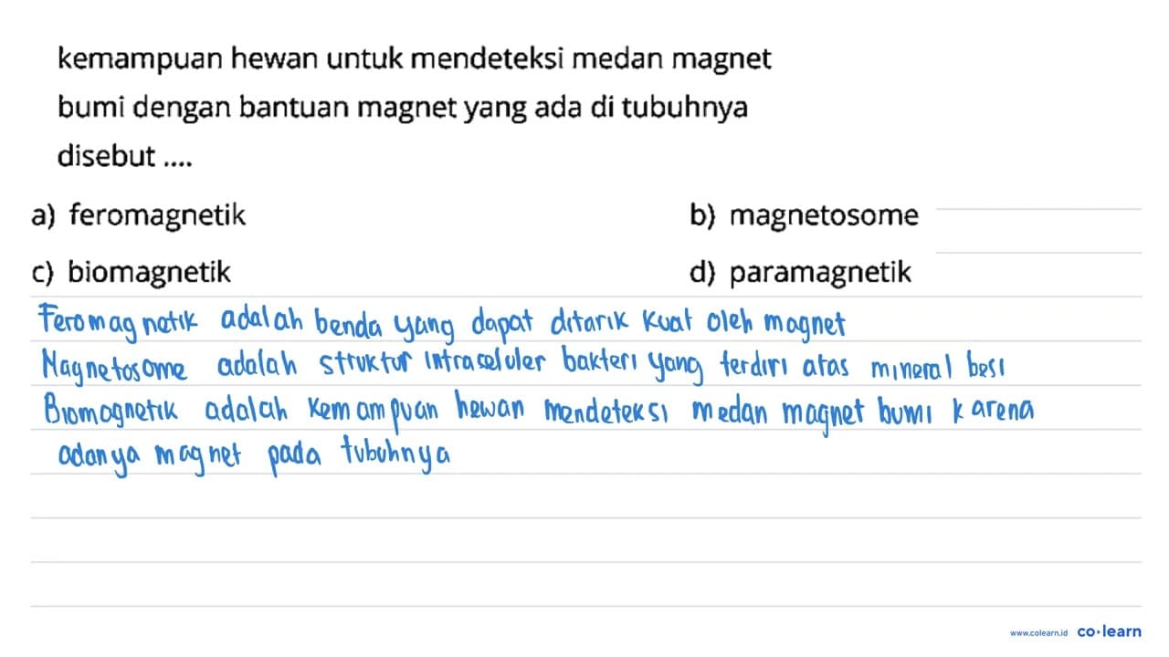 kemampuan hewan untuk mendeteksi medan magnet bumi dengan