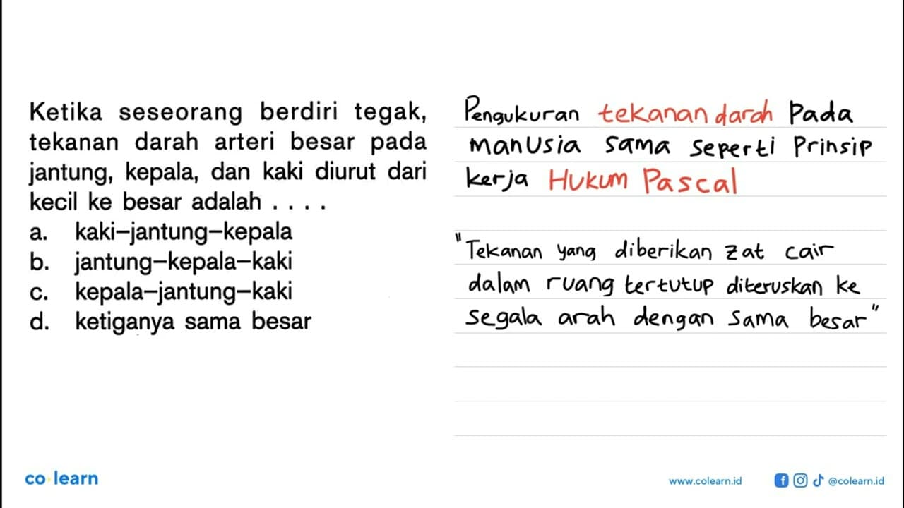 Ketika seseorang berdiri tegak, tekanan darah arteri besar