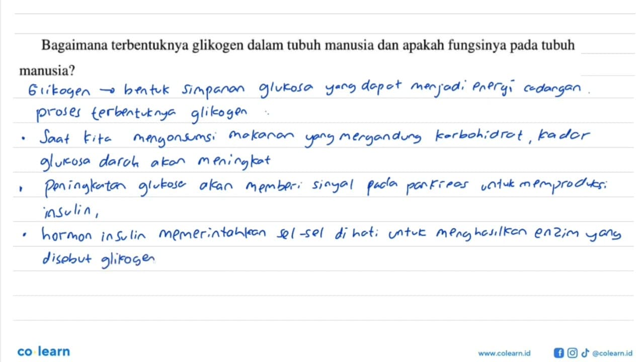 Bagaimana terbentuknya glikogen dalam tubuh manusia dan