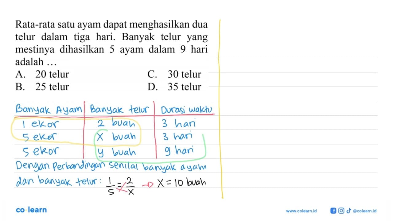 Rata-rata satu ayam dapat menghasilkan dua telur dalam tiga