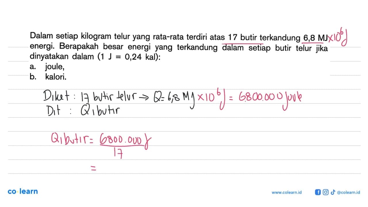 Dalam setiap kilogram telur yang rata-rata terdiri atas 17