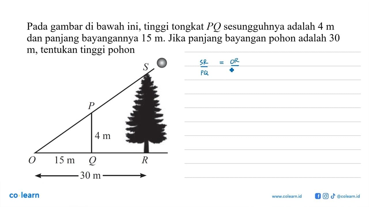 Pada gambar di bawahini, tinggi tongkat PQ sesungguhnya