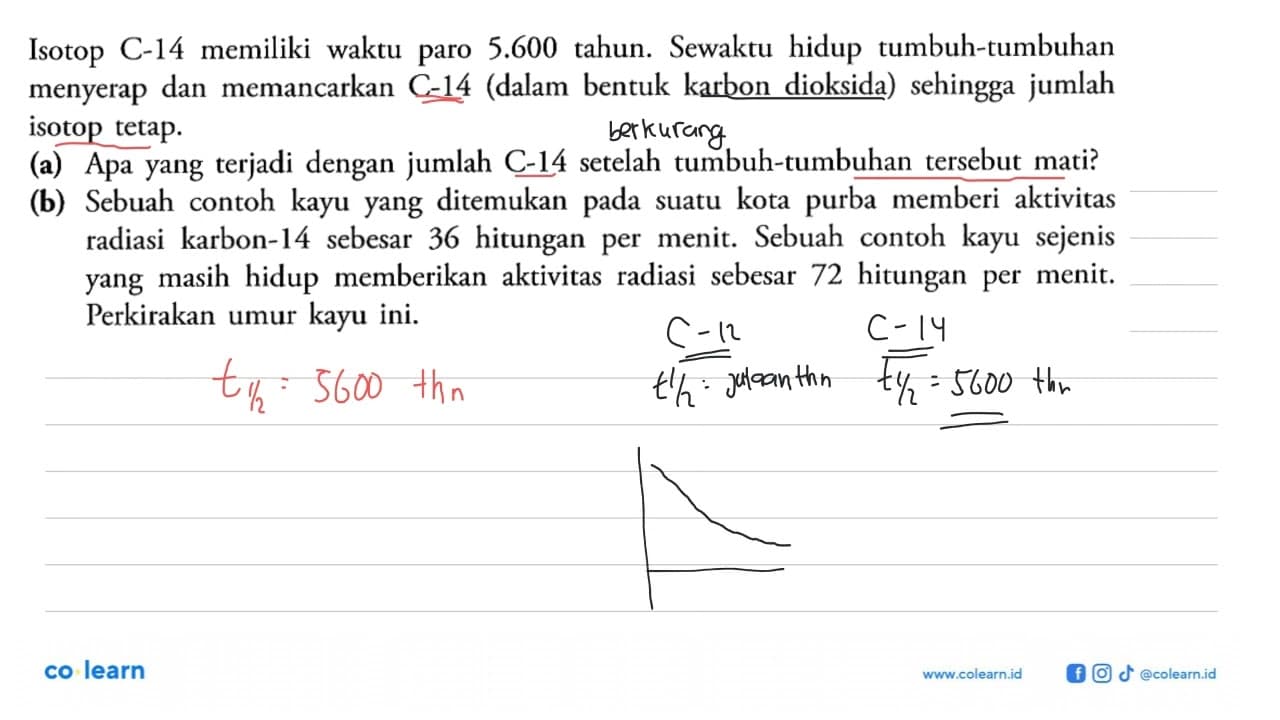 Isotop C-14 memiliki waktu paro 5.600 tahun. Sewaktu hidup