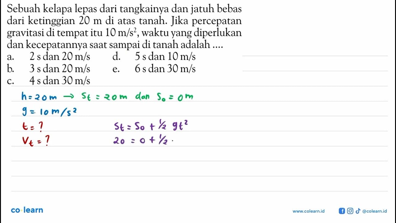 Sebuah kelapa lepas dari tangkainya dan jatuh bebas dari