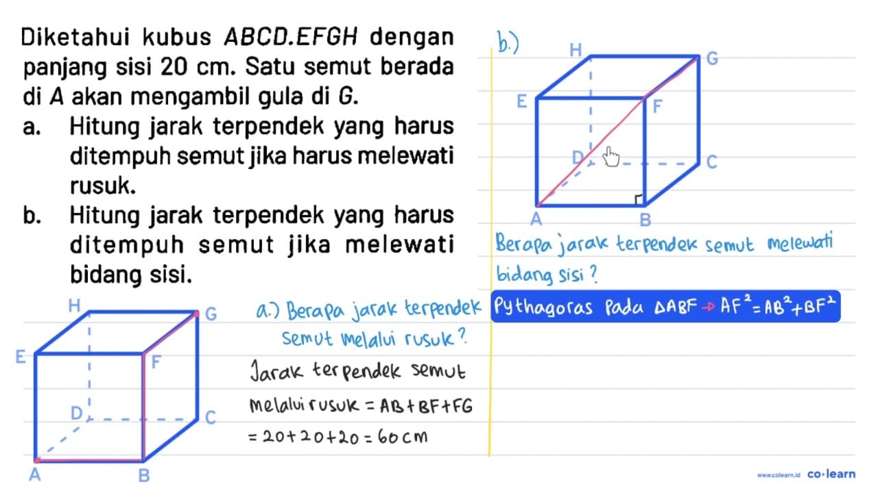 Diketahui kubus ABCD. EFGH dengan panjang sisi 20 cm. Satu