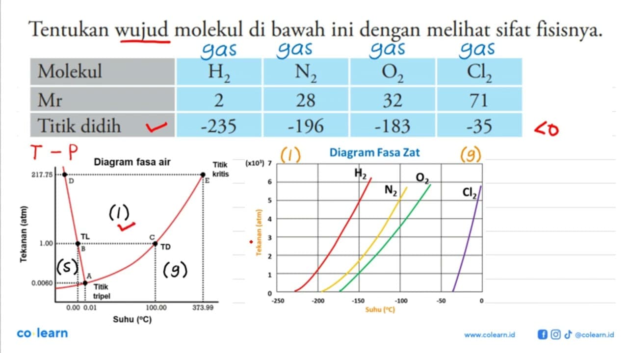 Tentukan wujud molekul di bawah ini dengan melihat sifat