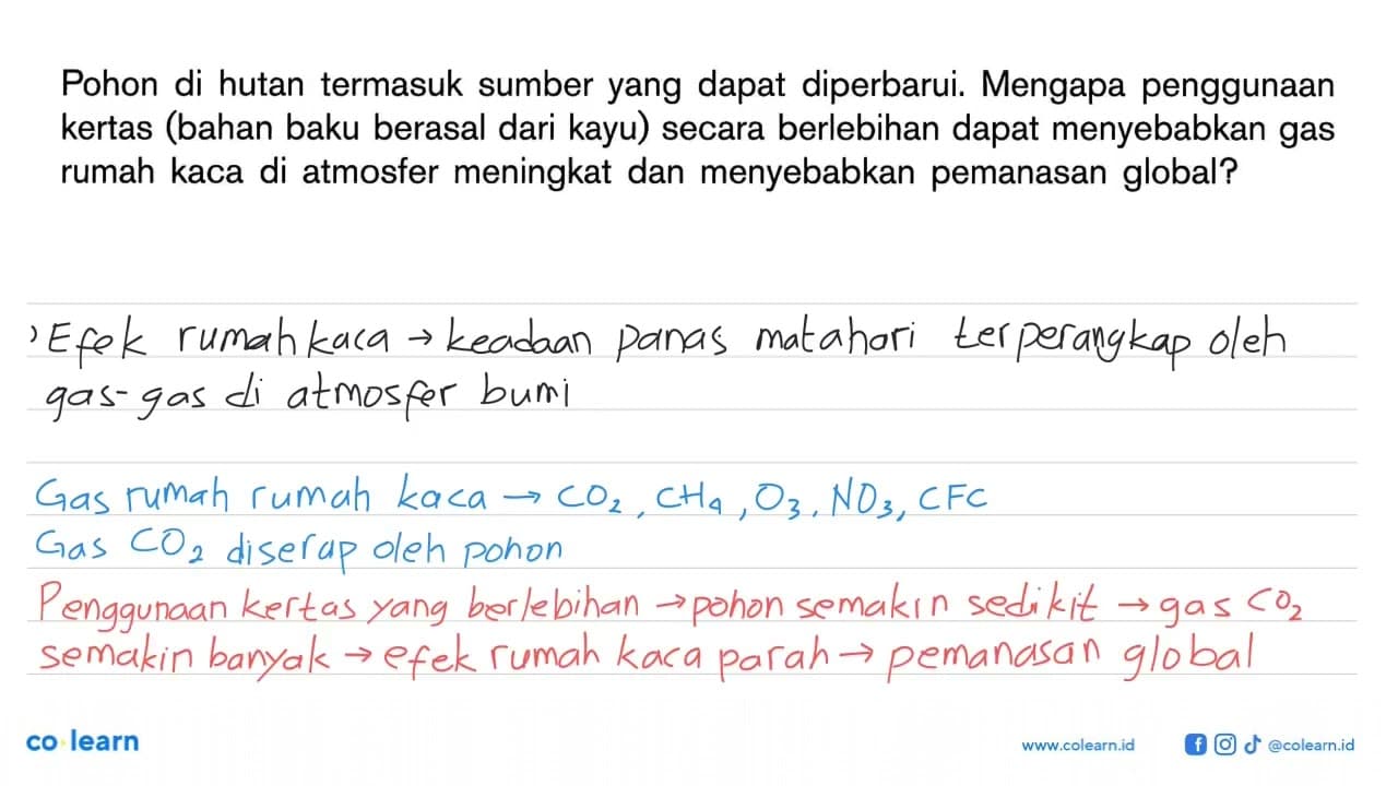 Pohon di hutan termasuk sumber yang dapat diperbarui.