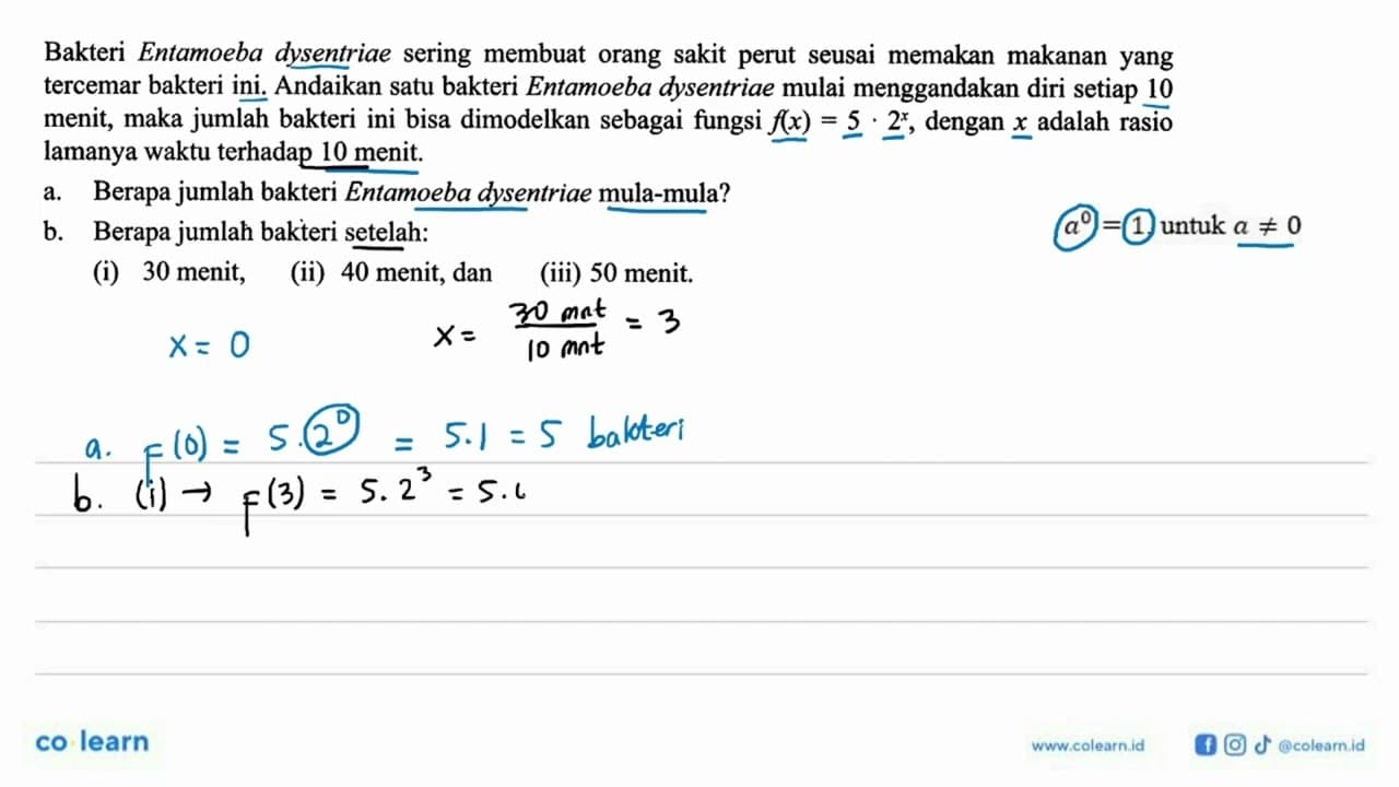 Bakteri Entamoeba dysentriae sering membuat orang sakit