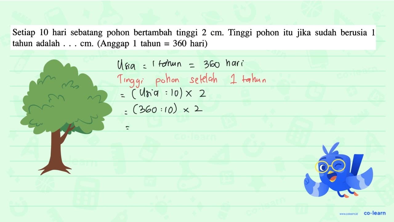 Setiap 10 hari sebatang pohon bertambah tinggi 2 cm. Tinggi