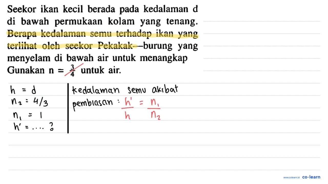 Seekor ikan kecil berada pada kedalaman d di bawah permukAn