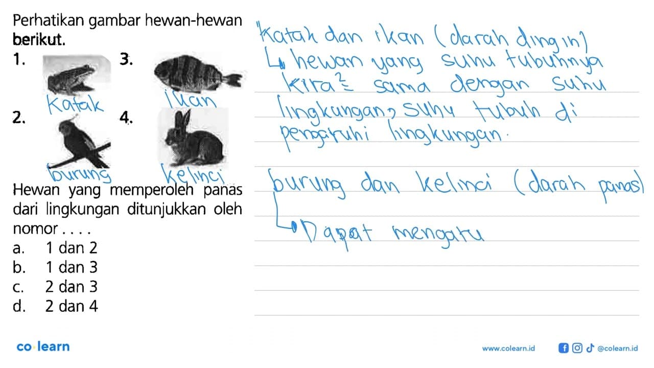 Perhatikan gambar hewan-hewan berikut, 1. 3. 2. 4. Hewan