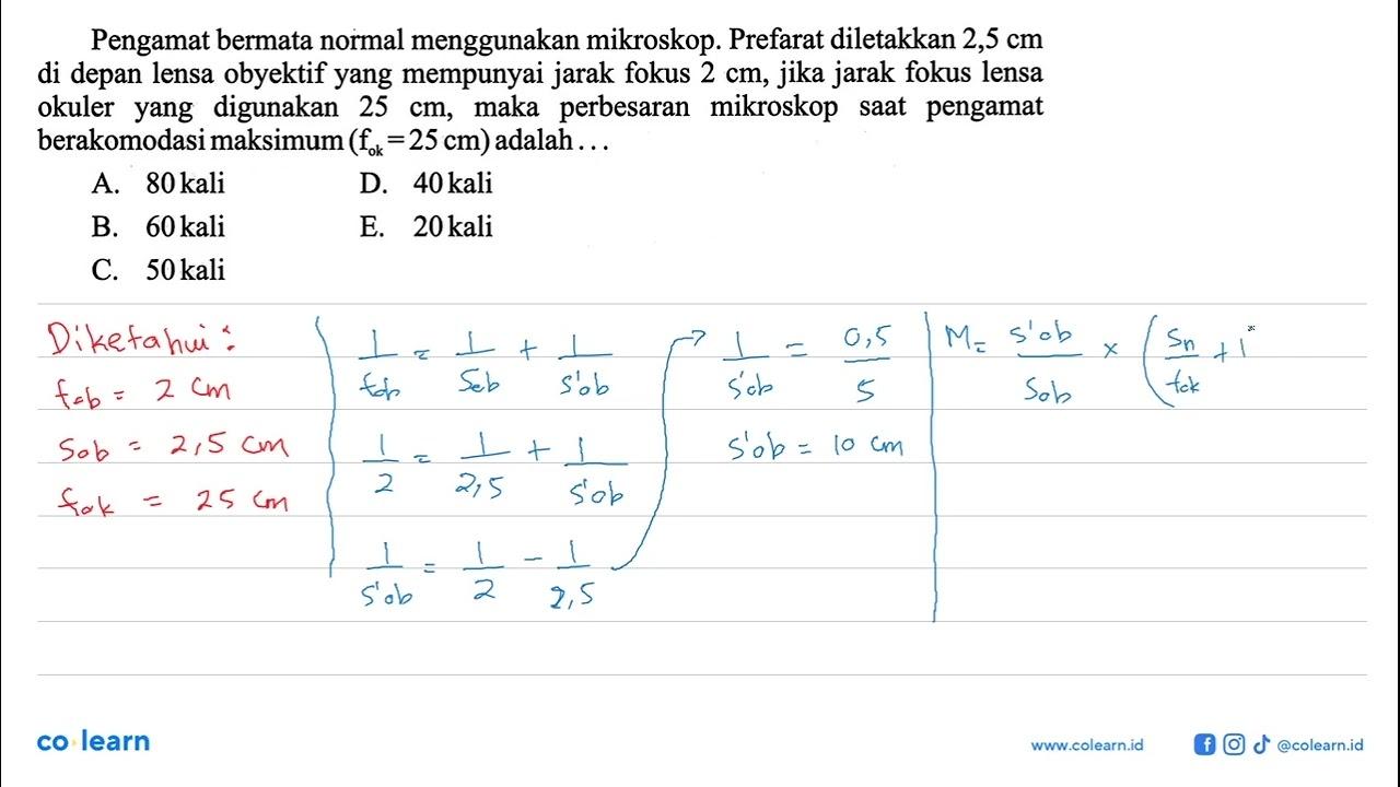 Pengamat bermata normal menggunakan mikroskop. Prefarat