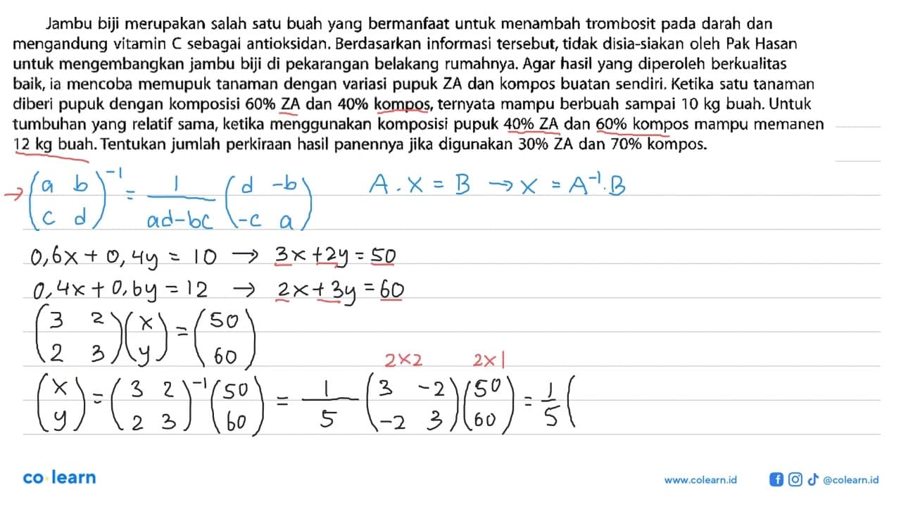 Jambu biji merupakan salah satu buah yang bermanfaat untuk