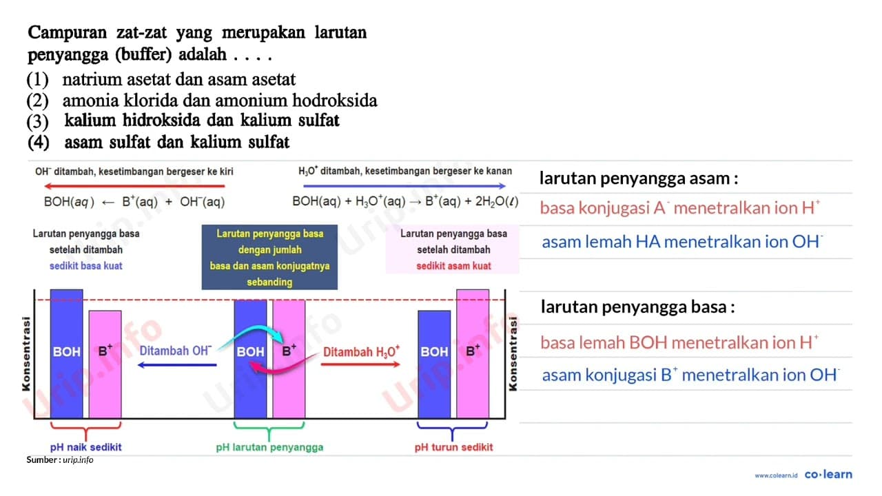 Campuran zat-zat yang merupakan larutan penyangga (buffer)