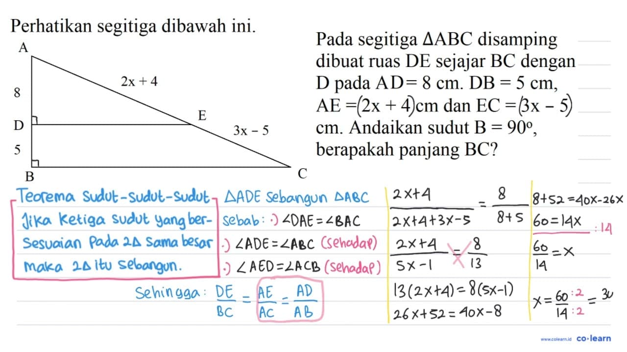 Perhatikan segitiga dibawah ini. A B C D E 8 2x + 4 5 3x -