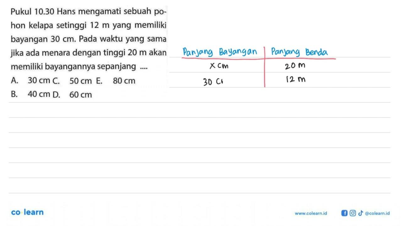 Pukul 10.30 Hans mengamati sebuah pohon kelapa setinggi 12