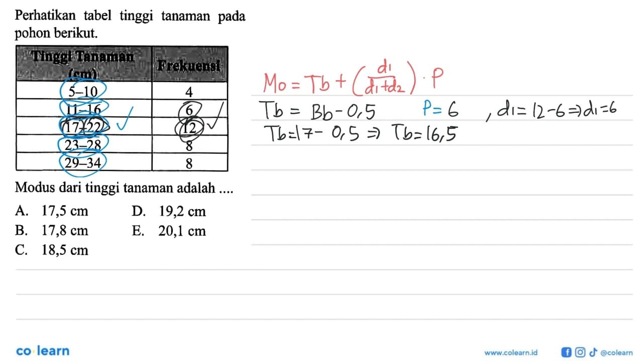 Perhatikan tabel tinggi tanaman pada pohon berikut.Tinggi