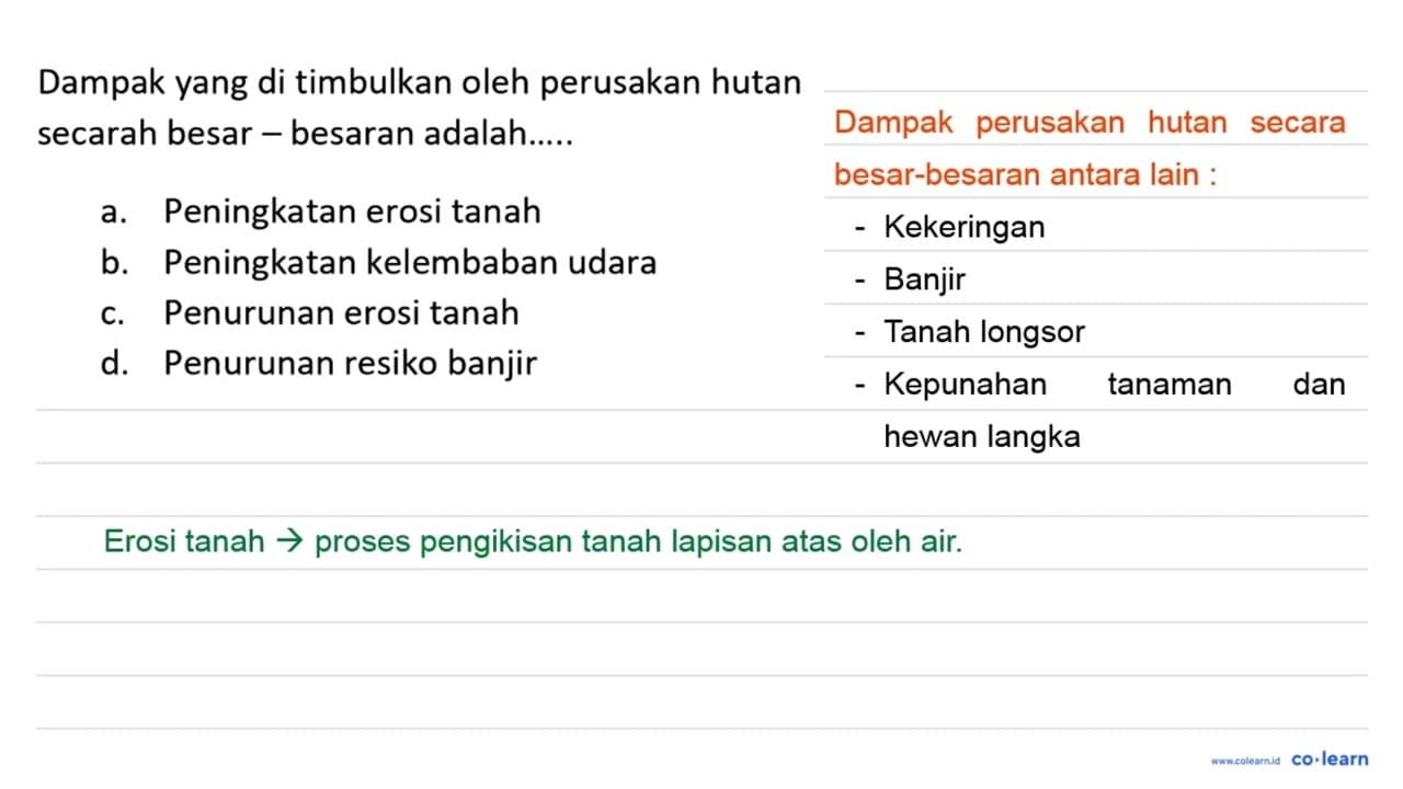 Dampak yang di timbulkan oleh perusakan hutan secarah besar