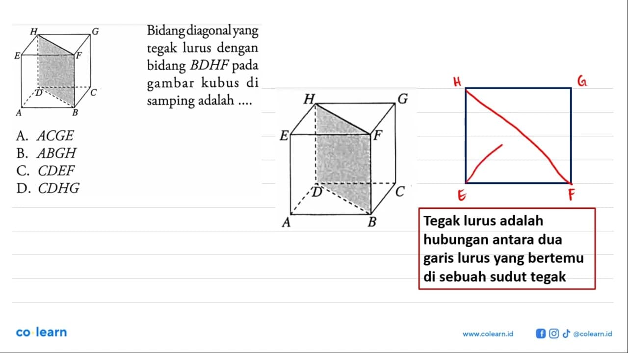 Bidang diagonal yang tegak lurus dengan bidang BDHF pada