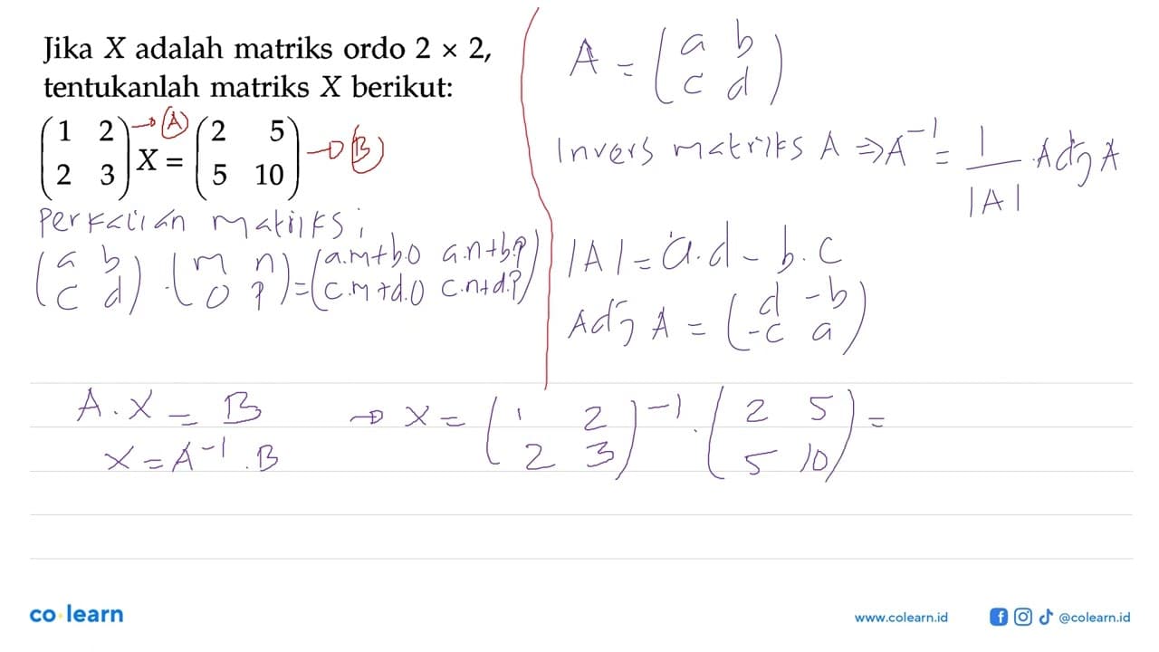 Jika X adalah matriks ordo 2 x 2, tentukanlah matriks X