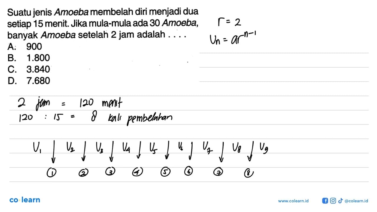 Suatu jenis Amoeba membelah diri menjadi dua setiap 15