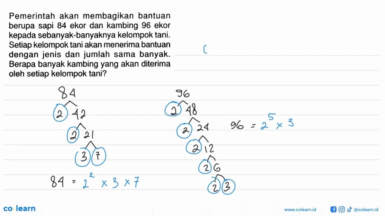 Pemerintah akan membagikan bantuan berupa sapi 84 ekor dan