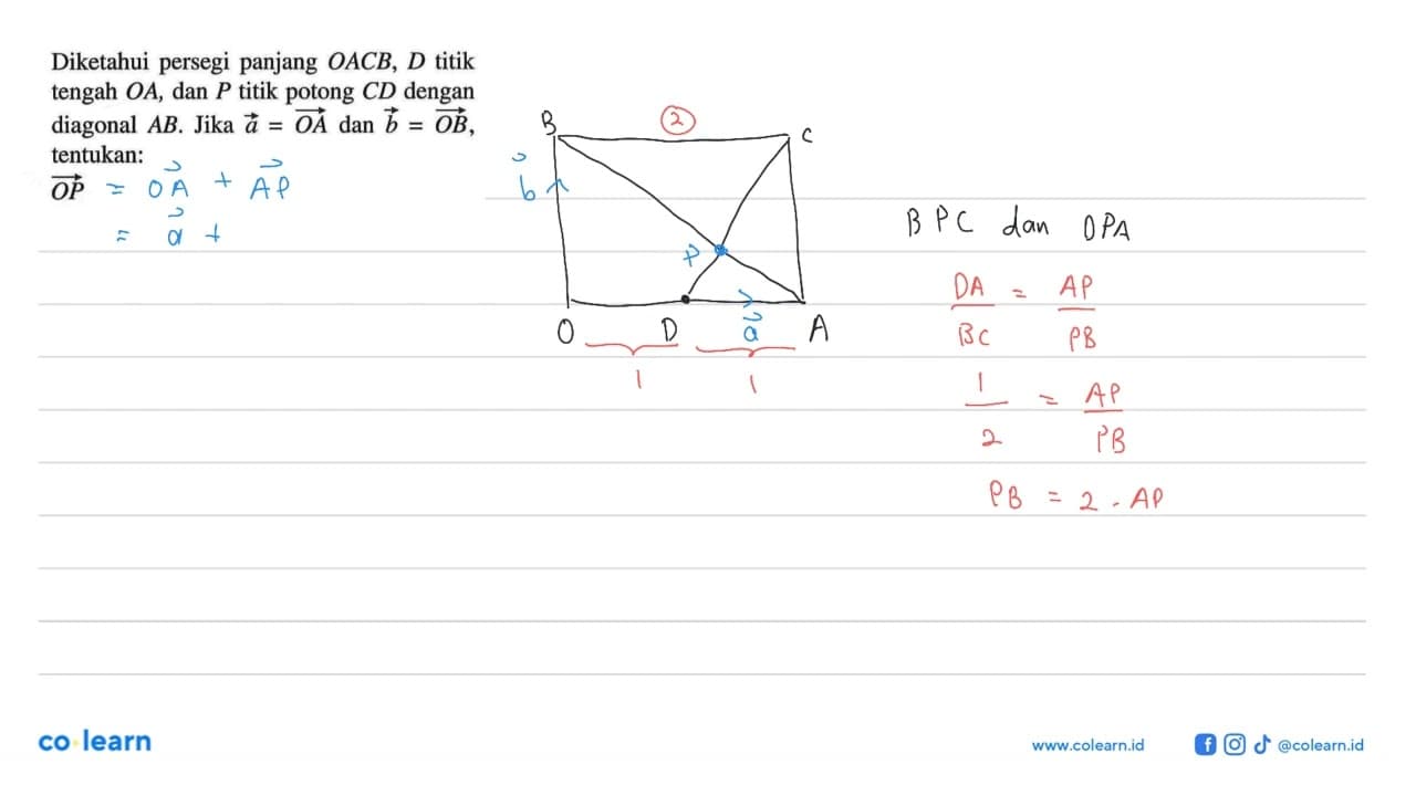 Diketahui persegi panjang OACB, D titik tengah OA , dan P
