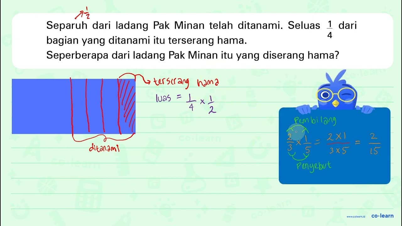 Separuh dari ladang Pak Minan telah ditanami. Seluas 1/4