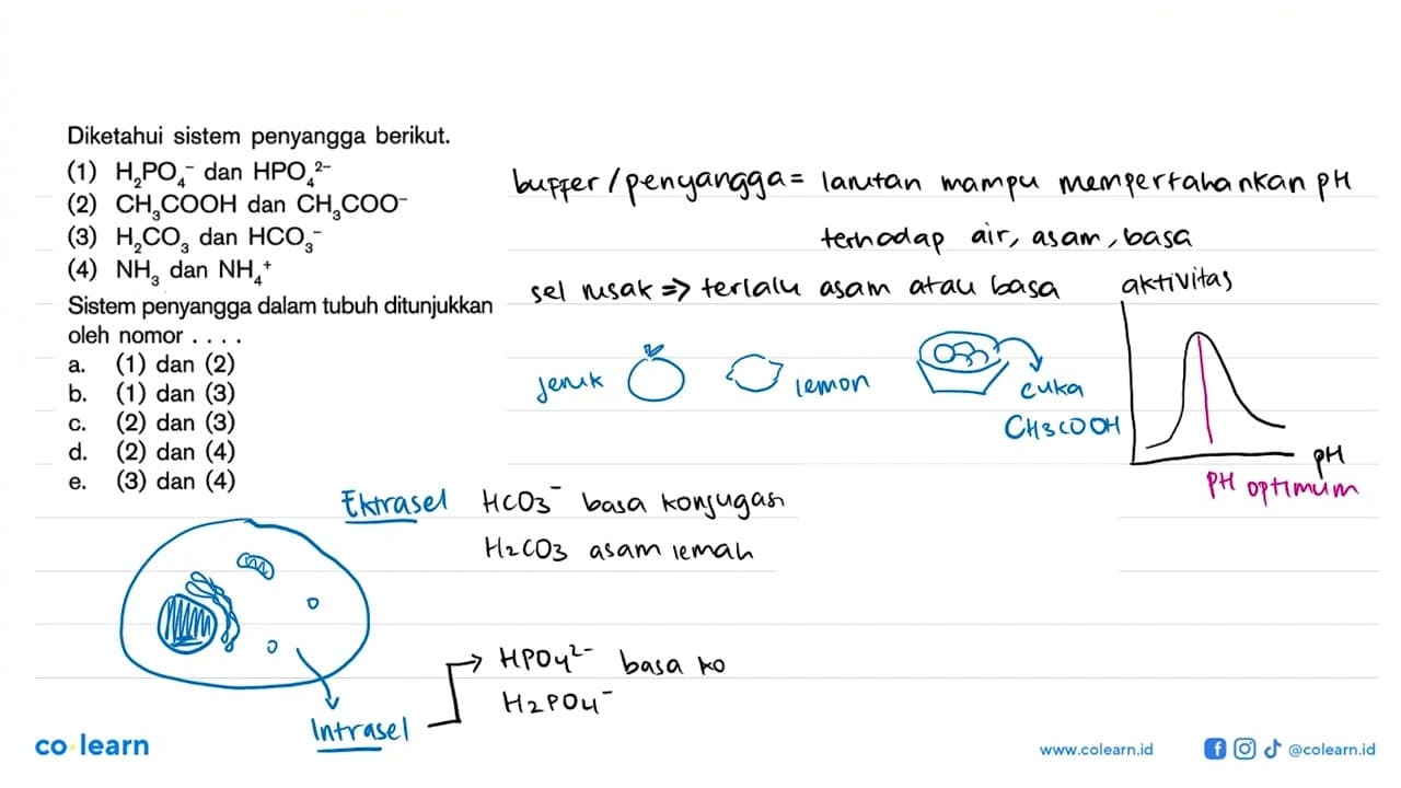 Diketahui sistem penyangga berikut.(1) H2PO4^(-) dan