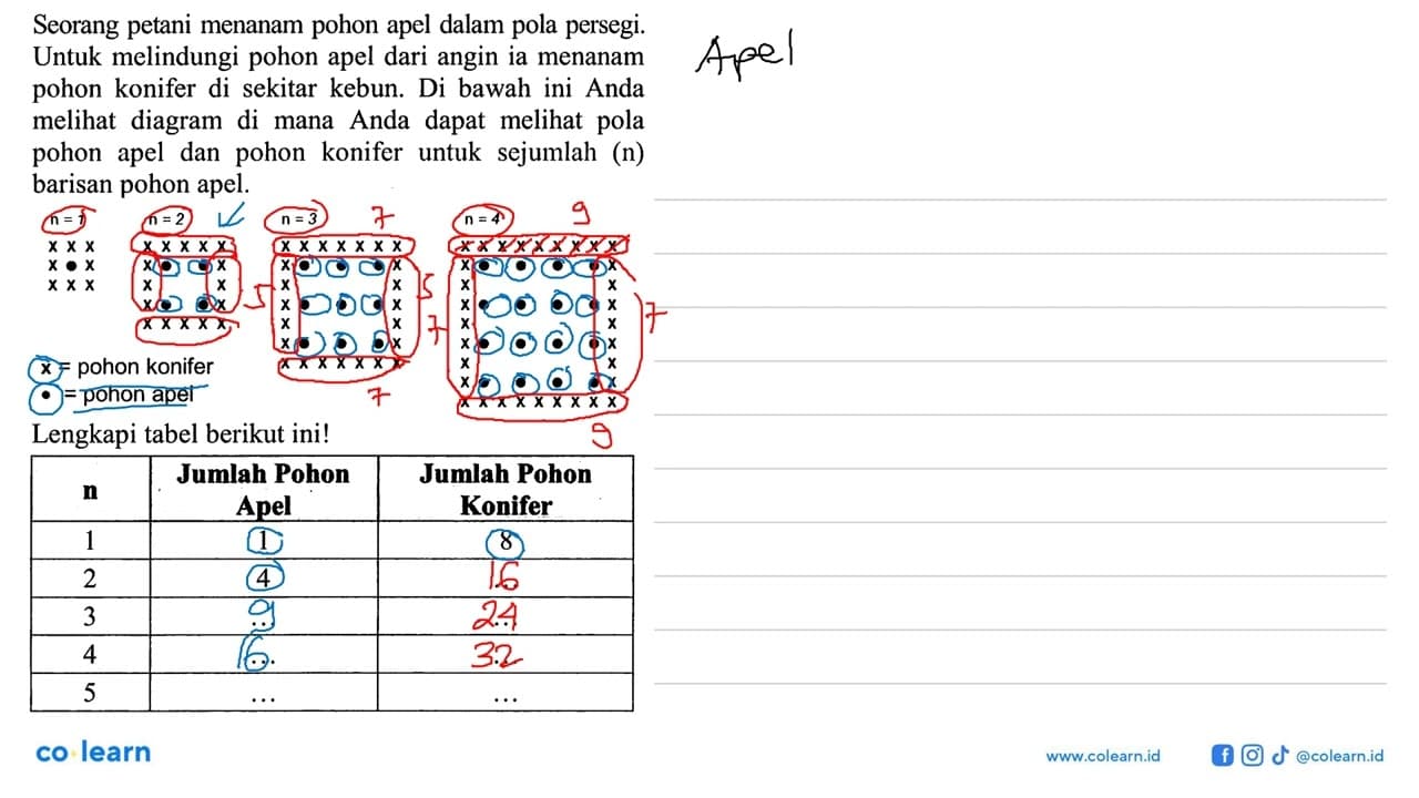 Seorang petani menanam pohon apel dalam pola persegi. Untuk