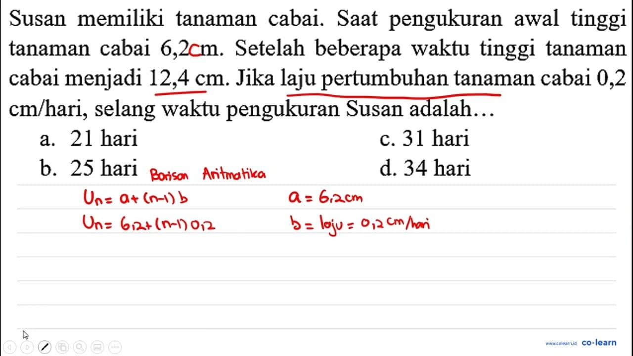 Susan memiliki tanaman cabai. Saat pengukuran awal tinggi