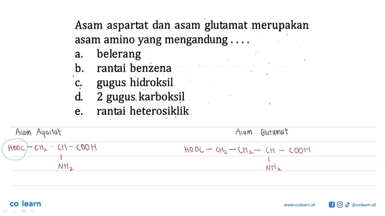 Asam aspartat dan asam glutamat merupakan asam amino yang