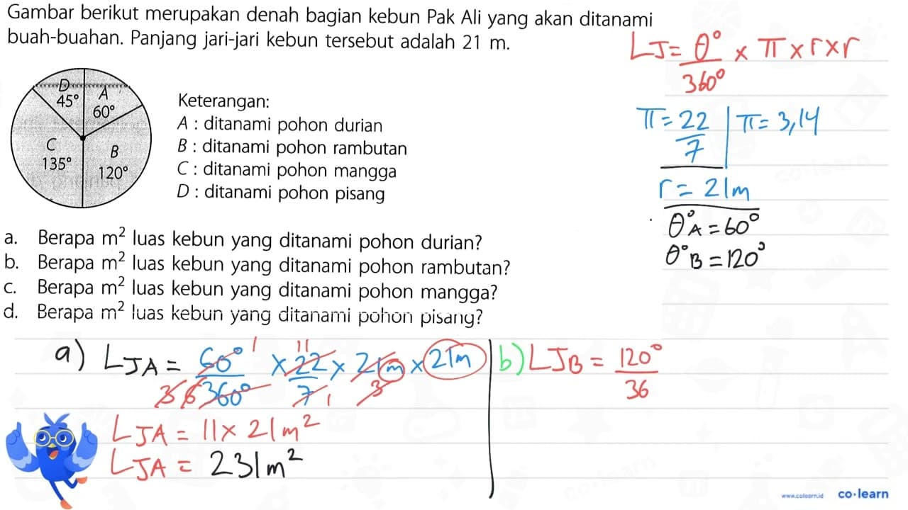 Gambar berikut merupakan denah bagian kebun Pak Ali yang