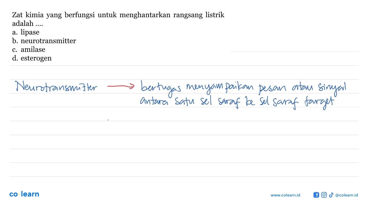 Zat kimia yang berfungsi untuk menghantarkan rangsang