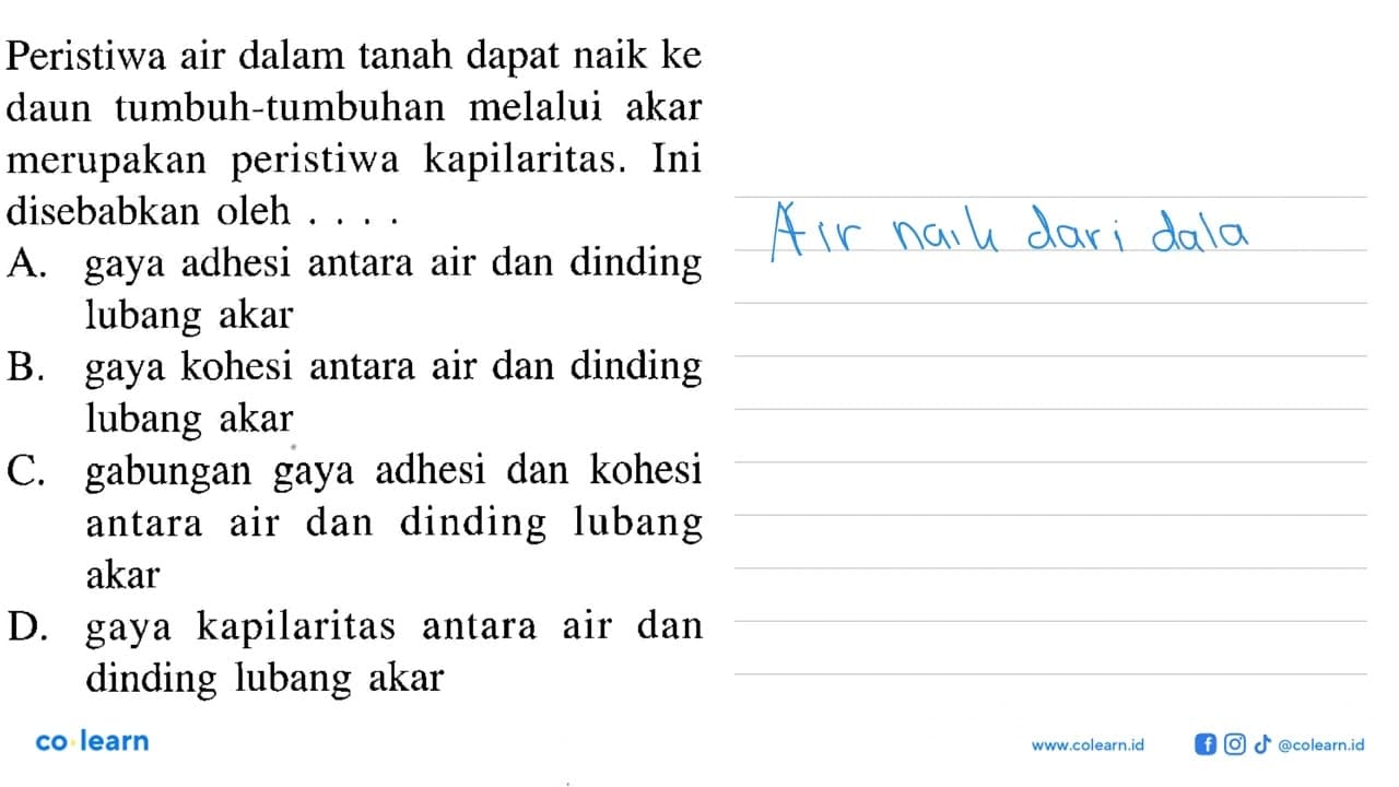 Peristiwa air dalam tanah dapat naik ke daun