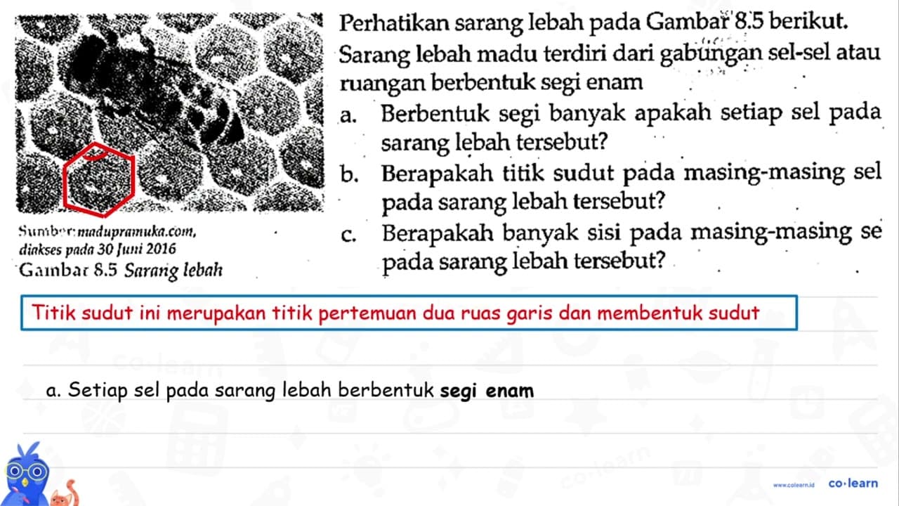 Perhatikan sarang lebah pada Gambar 8.5 berikut Sarang