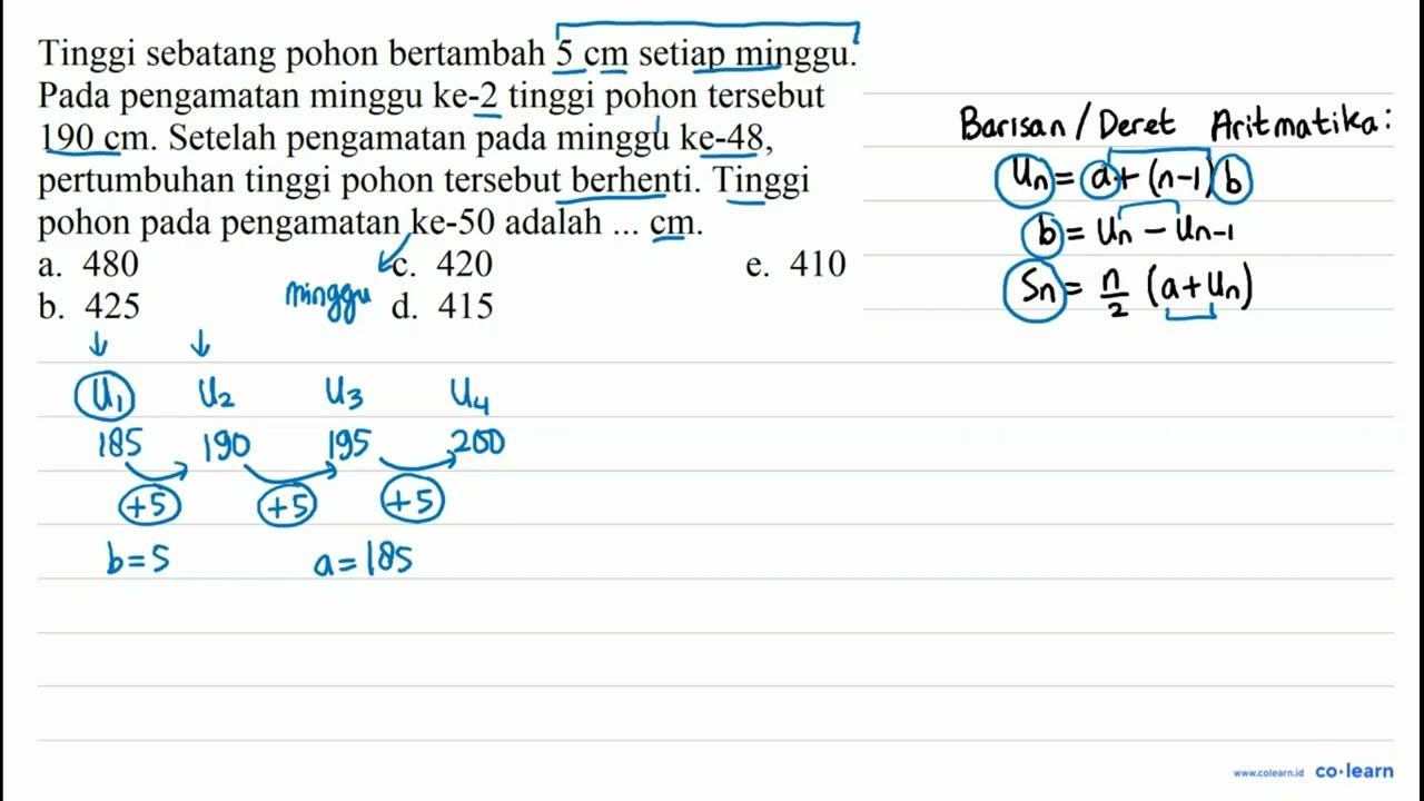 Tinggi sebatang pohon bertambah 5 cm setiap minggu. Pada