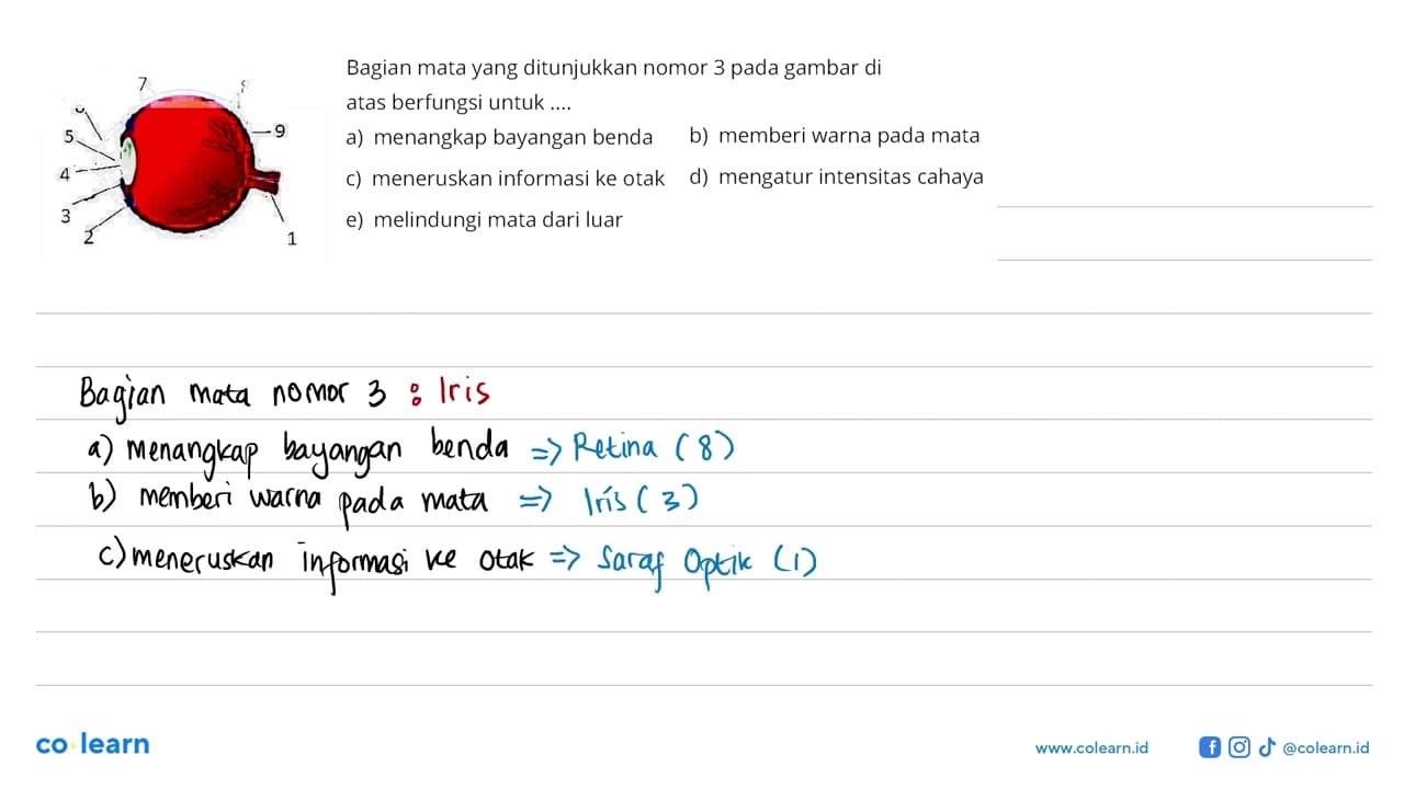 2 3 4 5 6 7 8 9 1 Bagian mata yang ditunjukkan nomor 3 pada