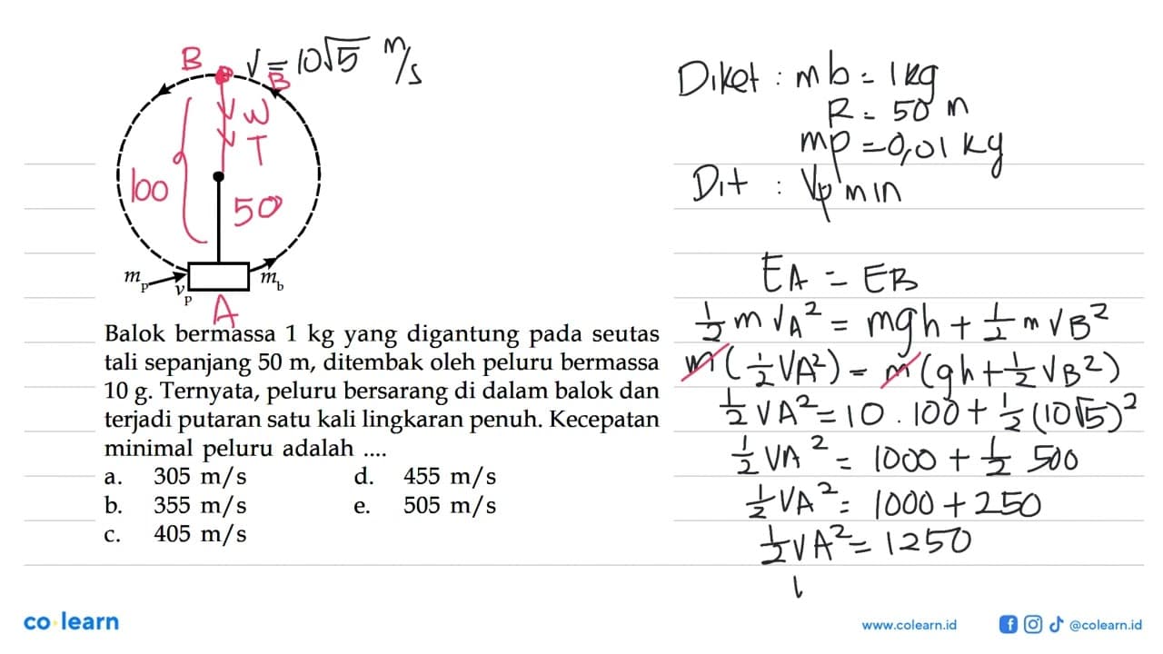 Balok bermassa 1 kg yang digantung pada seutas tali