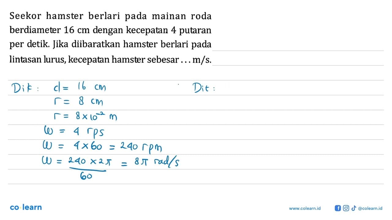 Seekor hamster berlari pada mainan roda berdiameter 16 cm