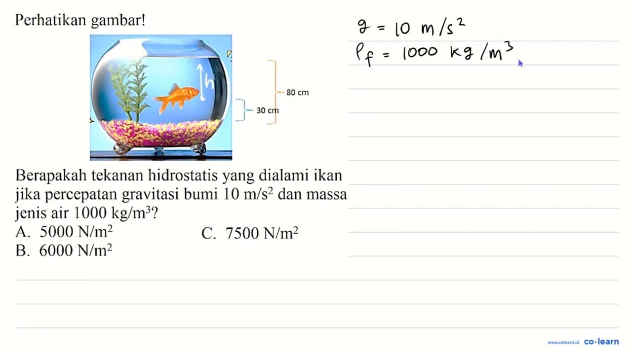 Perhatikan gambar! Berapakah tekanan hidrostatis yang