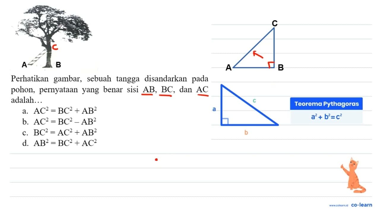 Perhatikan gambar, sebuah tangga disandarkan pada pohon,