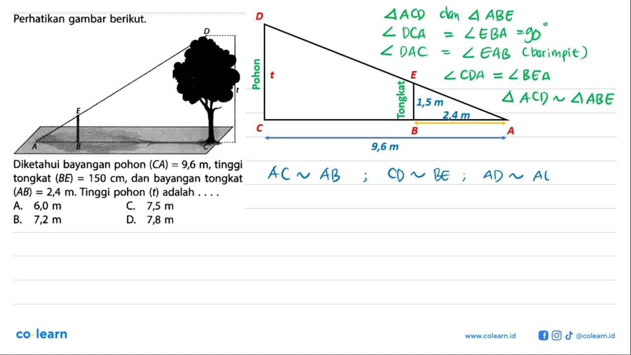 Perhatikan gambar berikut.Diketahui bayangan pohon (CA)=9,6