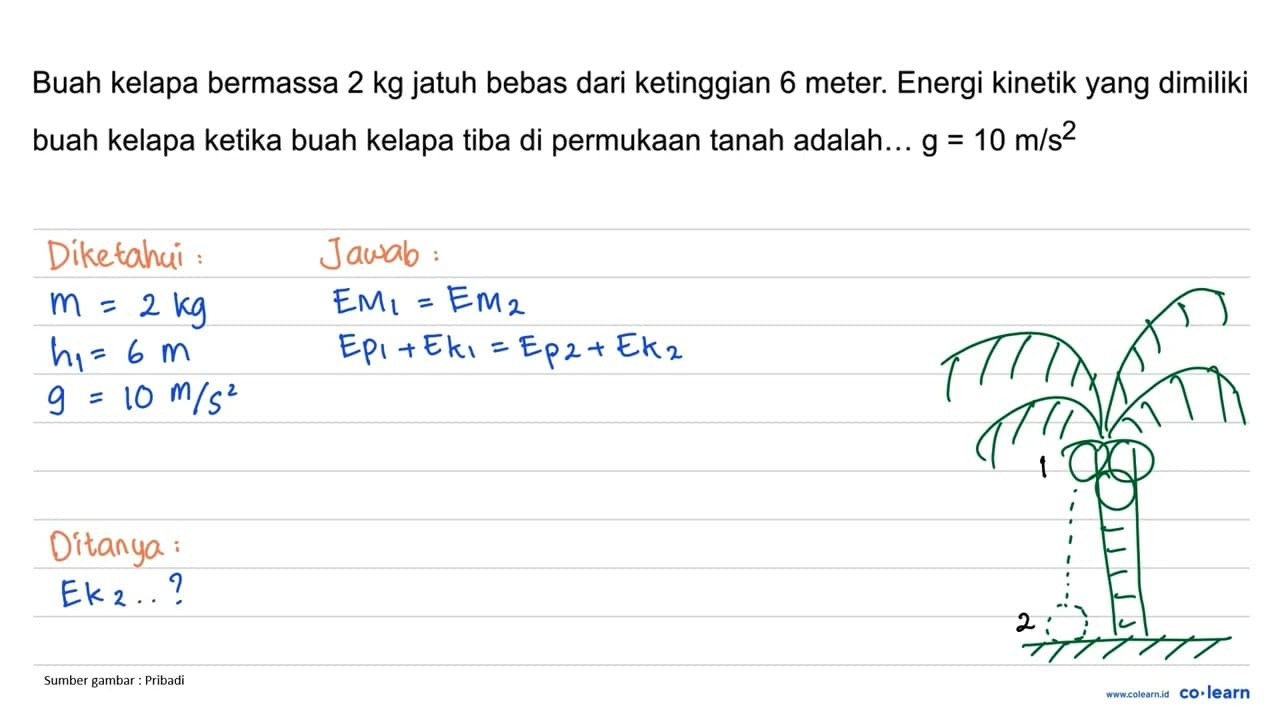 Buah kelapa bermassa 2 kg jatuh bebas dari ketinggian 6