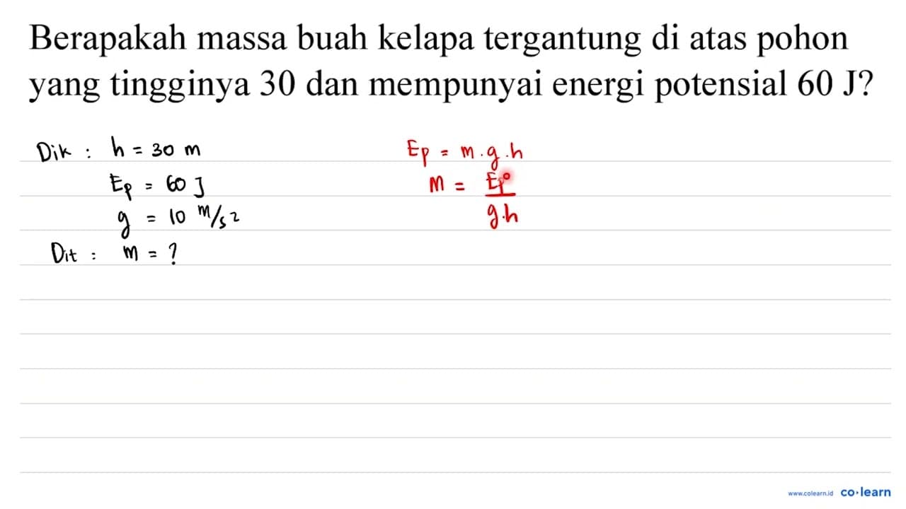 Berapakah massa buah kelapa tergantung di atas pohon yang