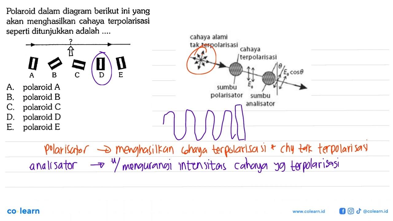 Polaroid dalam diagram berikut ini yang akan menghasilkan