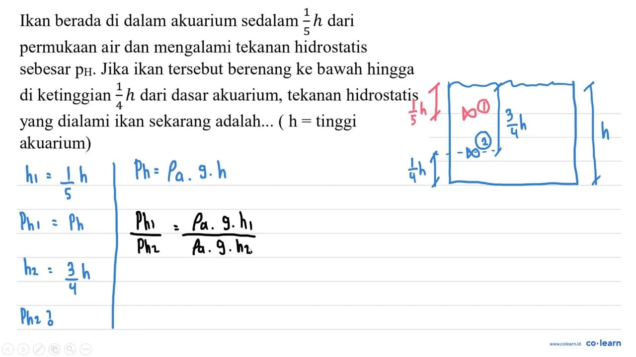 Ikan berada di dalam akuarium sedalam (1)/(5) h dari