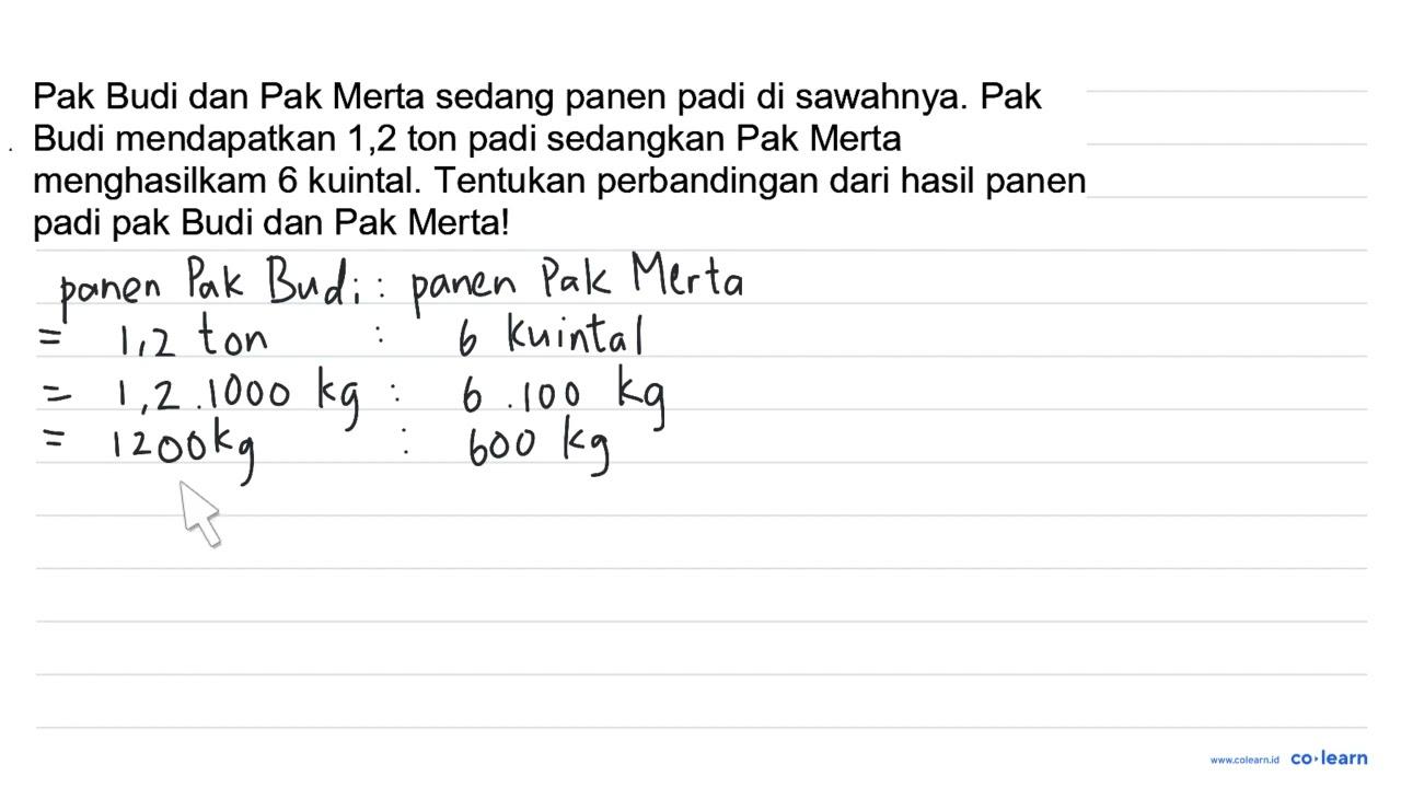 Pak Budi dan Pak Merta sedang panen padi di sawahnya. Pak